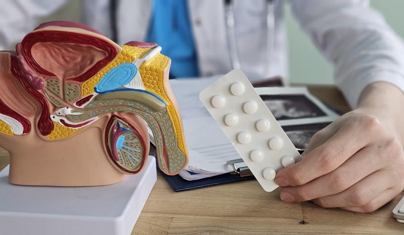 Inside the Mechanics: How Erectile Dysfunction Drugs Work in the Body
