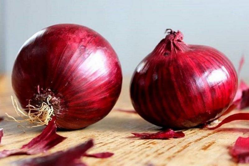 Top Onion Producing Countries in 2026