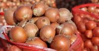The countries that produce the most onions. The countries that produce the most onions