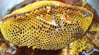 Sidr honey Sidr honey