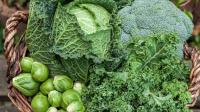 The best foods to treat vitamin A deficiency The best foods to treat vitamin A deficiency.