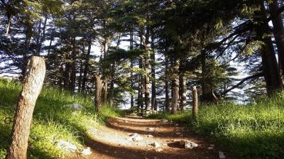 جمال البلدات الجبلية في لبنان خلال الصيف