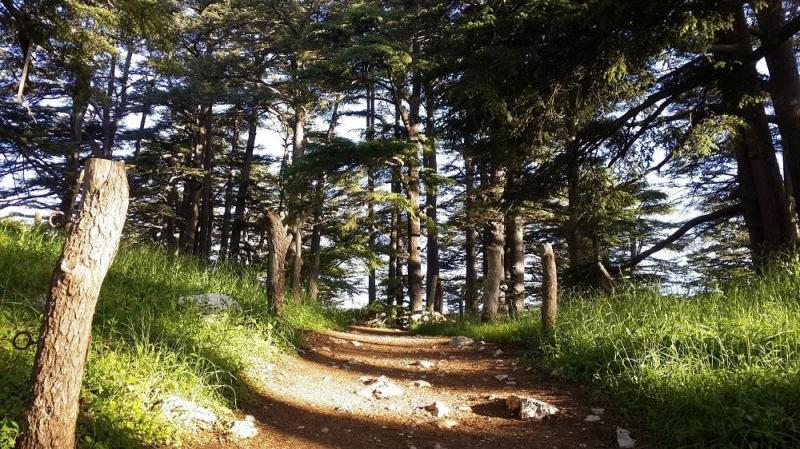 Discover the Enchanting Mountain Towns of Lebanon This Summer