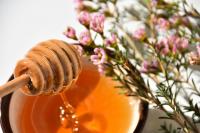 Manuka honey Manuka honey