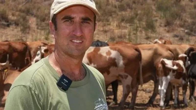 Israel's Unconventional Border Strategy: 140 Cattle Deployed to Syrian Border