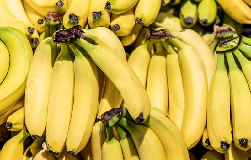Top Banana Producing Countries in the World