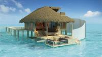 The best islands for a honeymoon The best islands for a honeymoon