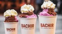 Bashir ice cream Bashir ice cream