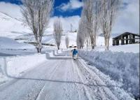 The mountains of Lebanon are covered with snow. The mountains of Lebanon are covered with snow.
