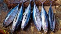 Fish production in the world Fish production in the world