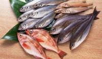 Fish production Fish production