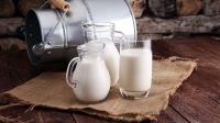 Cow milk Cow's milk