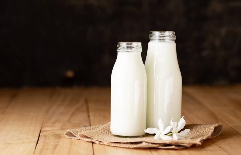 Is Cow's Milk Healthy?