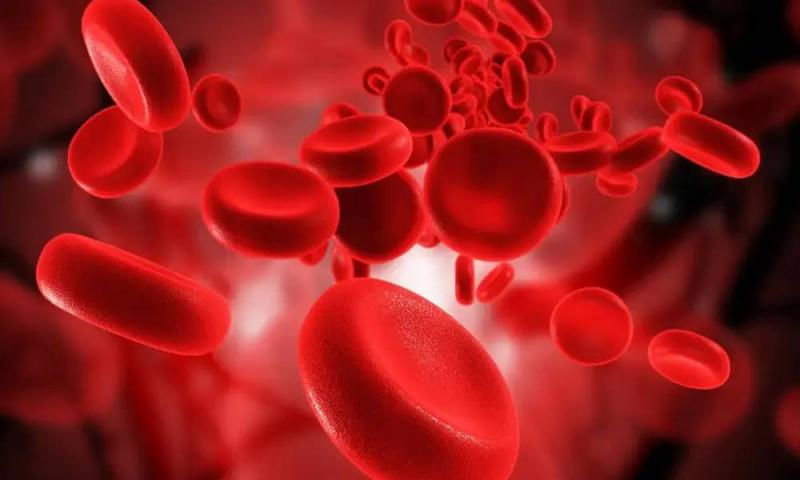 Does Anemia Cause Shortness of Breath? Understanding the Connection