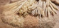 Exporting wheat Wheat export