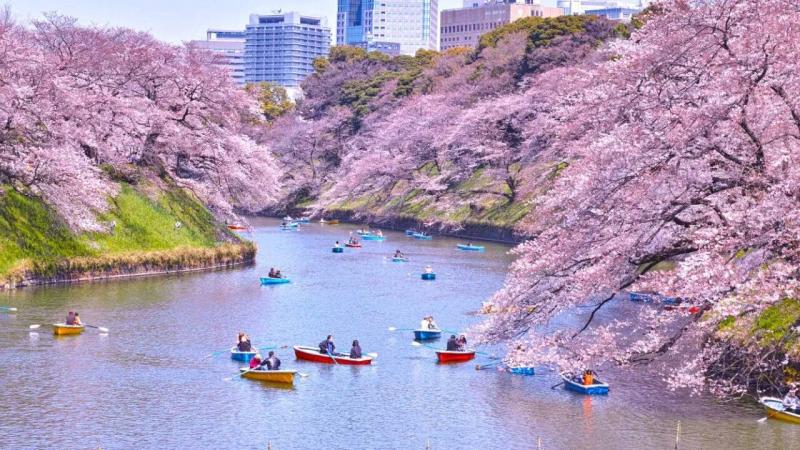 Top 10 Travel Destinations for 2026