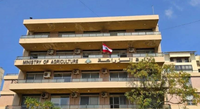 لأول مرة في تاريخه... لبنان يدخل رسميًا قطاع تربية الأسماك البحرية