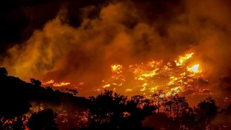 Wildfires Blaze Across Spain, France, and Portugal Amid Intense Heat Wave