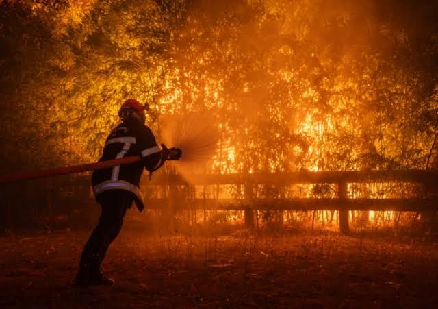 UN Warns of Intensifying Climate Crisis Amid Widespread Wildfires