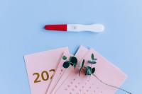 How to calculate ovulation days How to calculate ovulation days