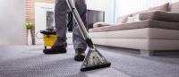 Carpet cleaning companies