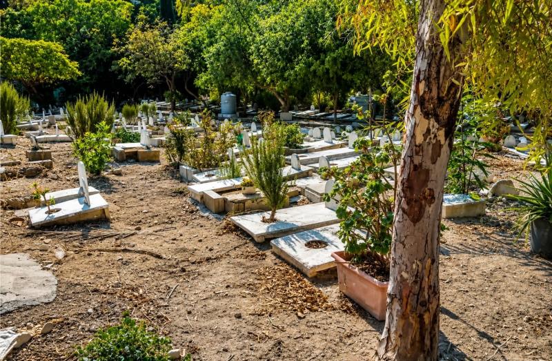 Family Demands Exhumation After Claims of Hearing Deceased's Voice in Sidon