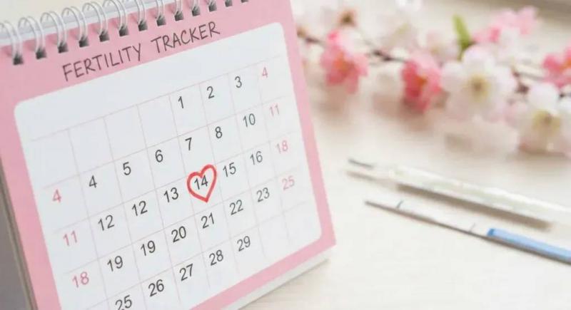 How to Calculate Ovulation Days