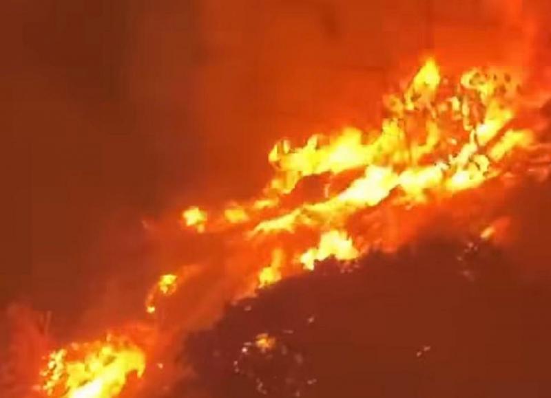 Wildfire in Ras Maska: Firefighting Efforts Ongoing