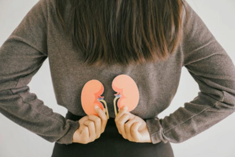 How to Recognize a Urinary Tract Infection