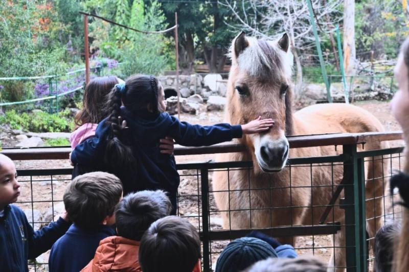Top Kid-Friendly Places in Batroun: A Family Guide