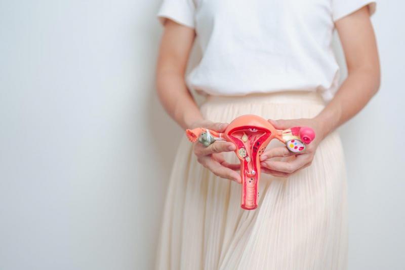 Symptoms of Ovarian Cyst Syndrome in Married Women: What to Know