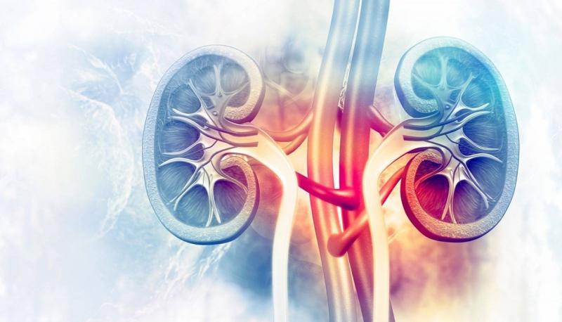 How Long Does It Take for Kidney Sediments to Disappear?
