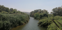 Al-Awali River