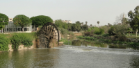 Orontes River