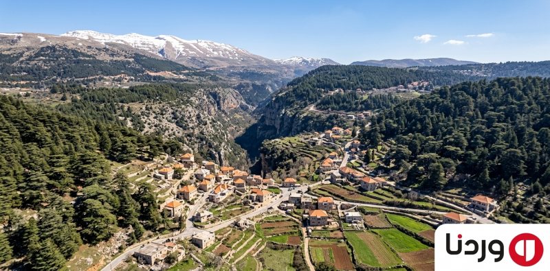 Exploring the Enchanting Village of Tannourine: A Lebanese Gem