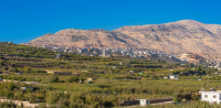 جبل الشيخ 