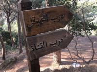 درب المجوقل
درب المجوقل