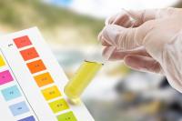 Why is urine dark yellow? Why is urine dark yellow?