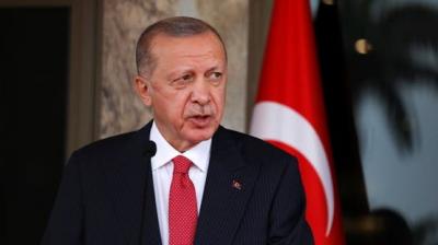 من هرمز إلى سوريا و لبنان و غزة .. ماذا قال أردوغان عن أزمات المنطقة؟