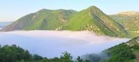 محمية جبل موسى محمية جبل موسى