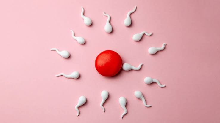Understanding Causes of Poor Sperm Motility: Key Factors Affecting Male Fertility