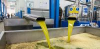 Olive oil Olive oil