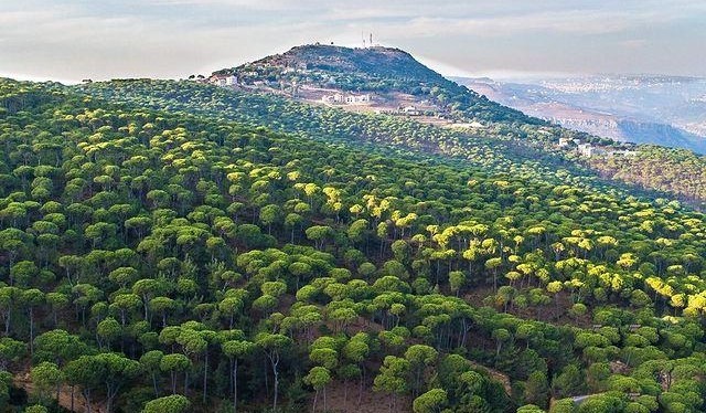 Top 10 Nature Destinations in Lebanon for Nature Enthusiasts