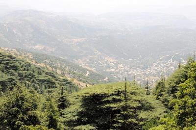 معلومات عن مسار عين زحلتا