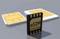 The electronic chip in Lebanon The electronic chip in Lebanon