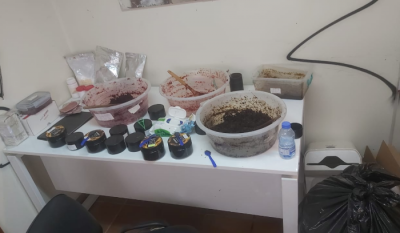 ضبط كميات مهربة ومقلدة من السيجار والمعسل