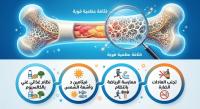 الحفاظ على العظام الحفاظ على العظام
