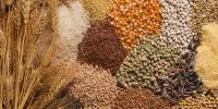 Grain production Grain production