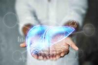 Foods for liver health