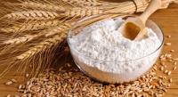 Wheat in the world Wheat in the world